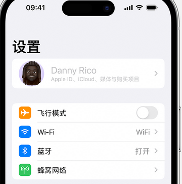 秦州appleID维修服务iPhone设置中Apple ID显示为灰色无法使用 