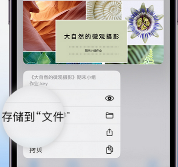 秦州apple维修中心分享iPhone文件应用中存储和找到下载文件