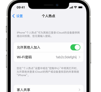 秦州apple服务站点分享iPhone上个人热点丢失了怎么办 