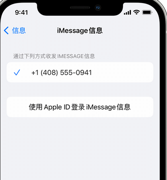 秦州apple维修iPhone上无法正常发送iMessage信息 