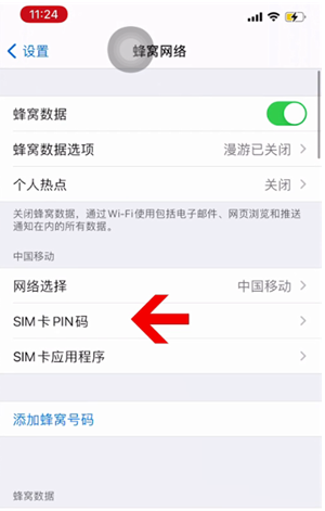 秦州苹果14维修网分享如何给iPhone14的SIM卡设置密码 