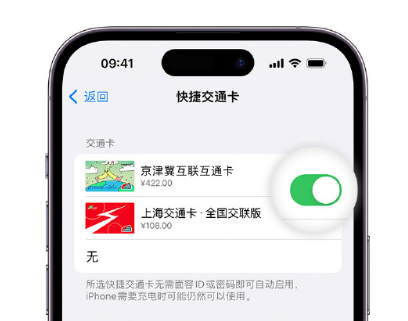 秦州apple维修点分享iPhone上更换Apple Pay快捷交通卡手绘卡面 