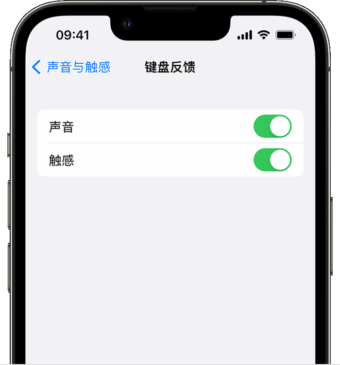 秦州苹果14维修店分享如何在 iPhone 14 机型中使用触感键盘 