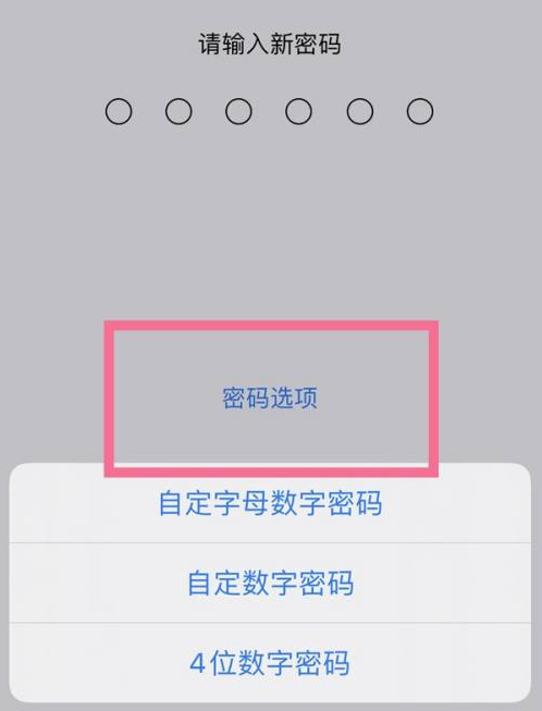 秦州苹果14维修分享iPhone 14plus设置密码的方法 