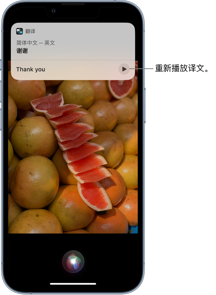 秦州苹果14维修分享 iPhone 14 机型中使用 Siri：了解 Siri 能帮你做什么 