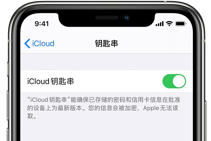 秦州苹果手机维修分享在 iPhone 上开启 iCloud 钥匙串之后会储存哪些信息 