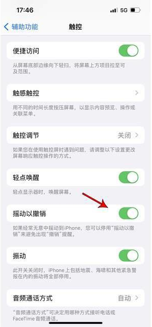 秦州苹果手机维修分享iPhone手机如何设置摇一摇删除文字 